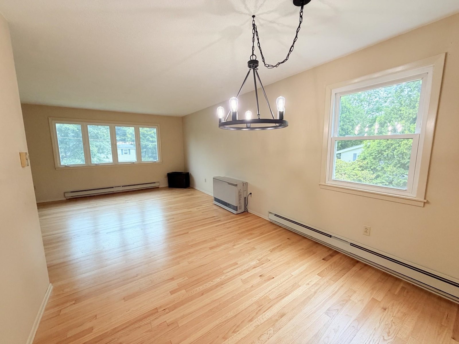 336 Birchwood Drive