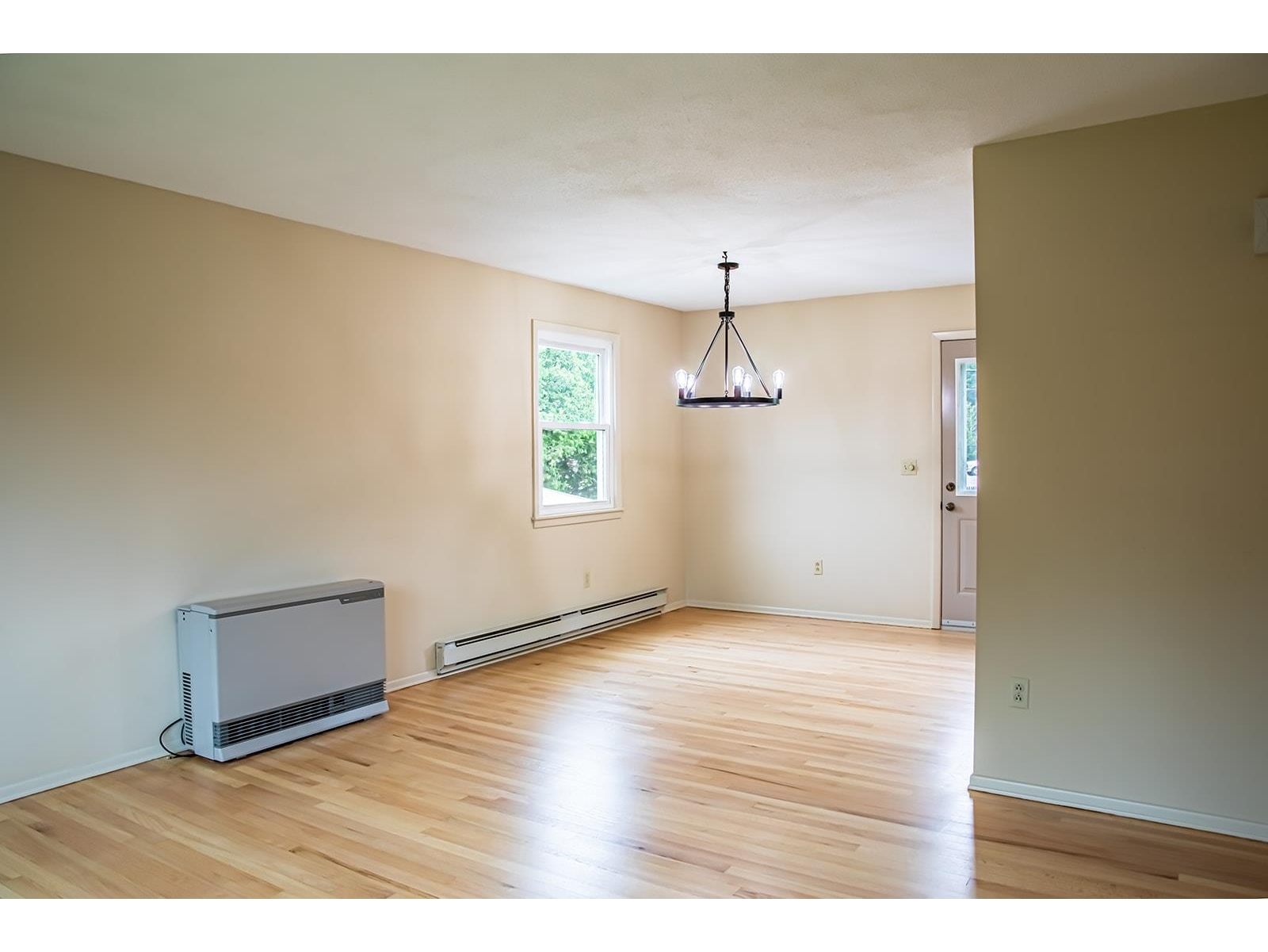 336 Birchwood Drive