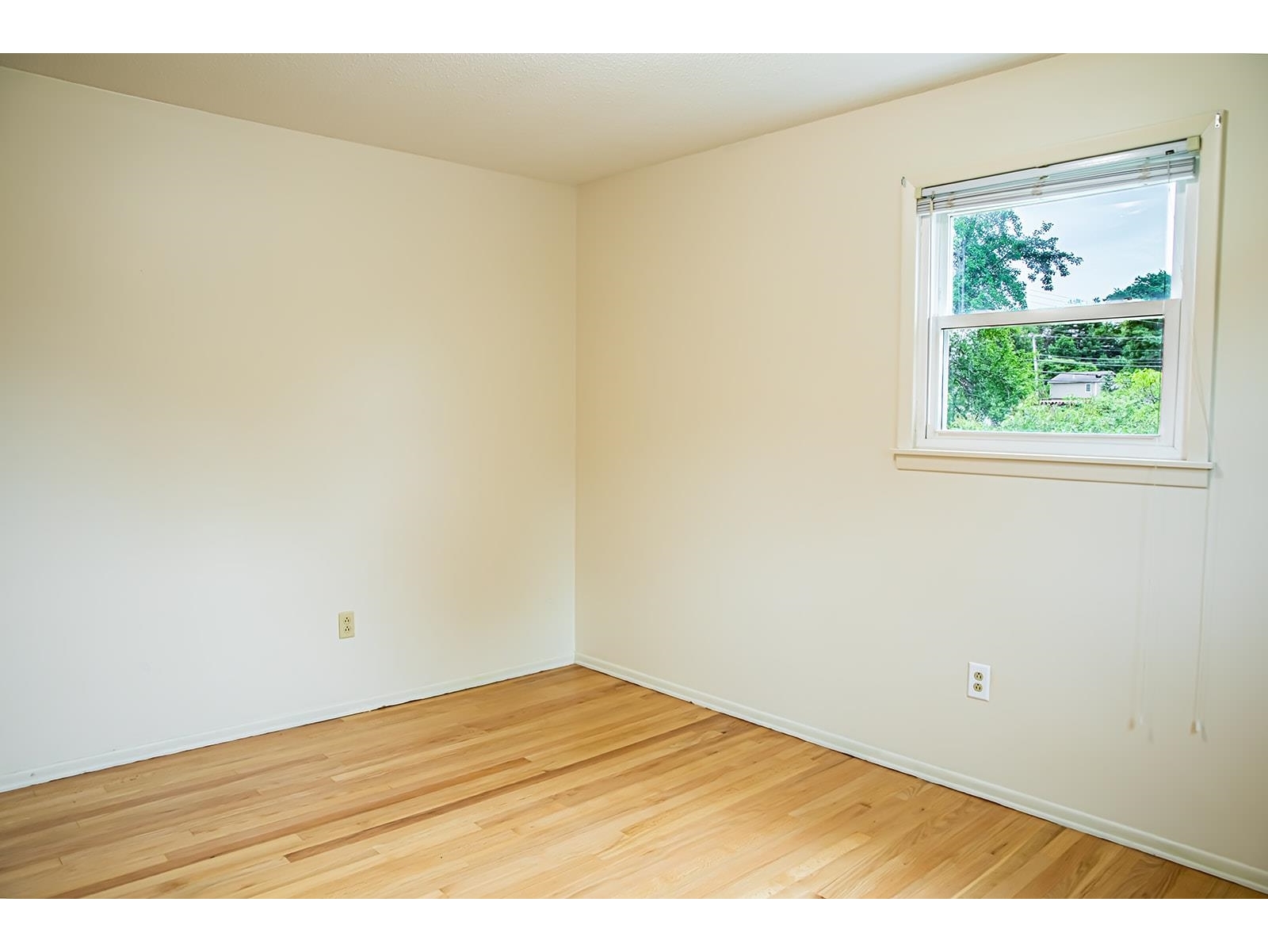 336 Birchwood Drive