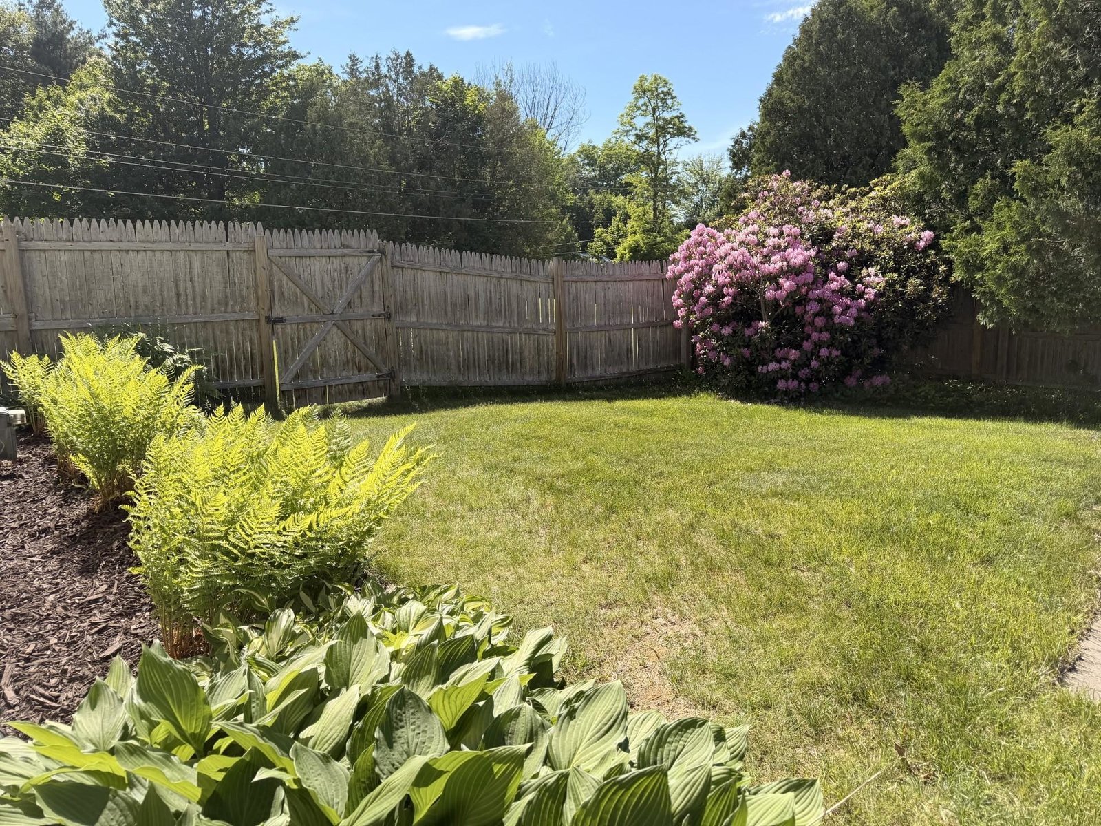 336 Birchwood Drive
