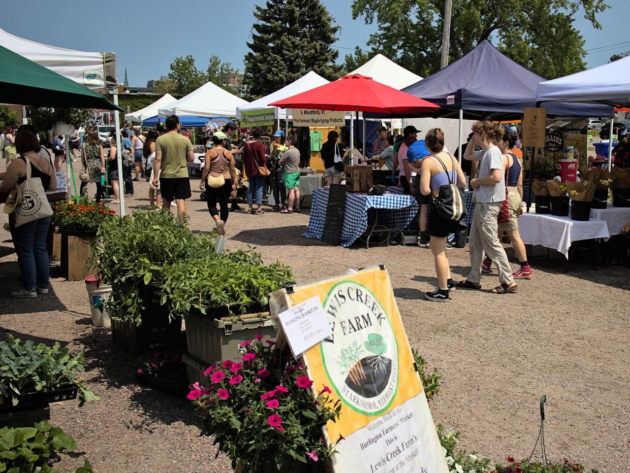 Burlington Farmers Market