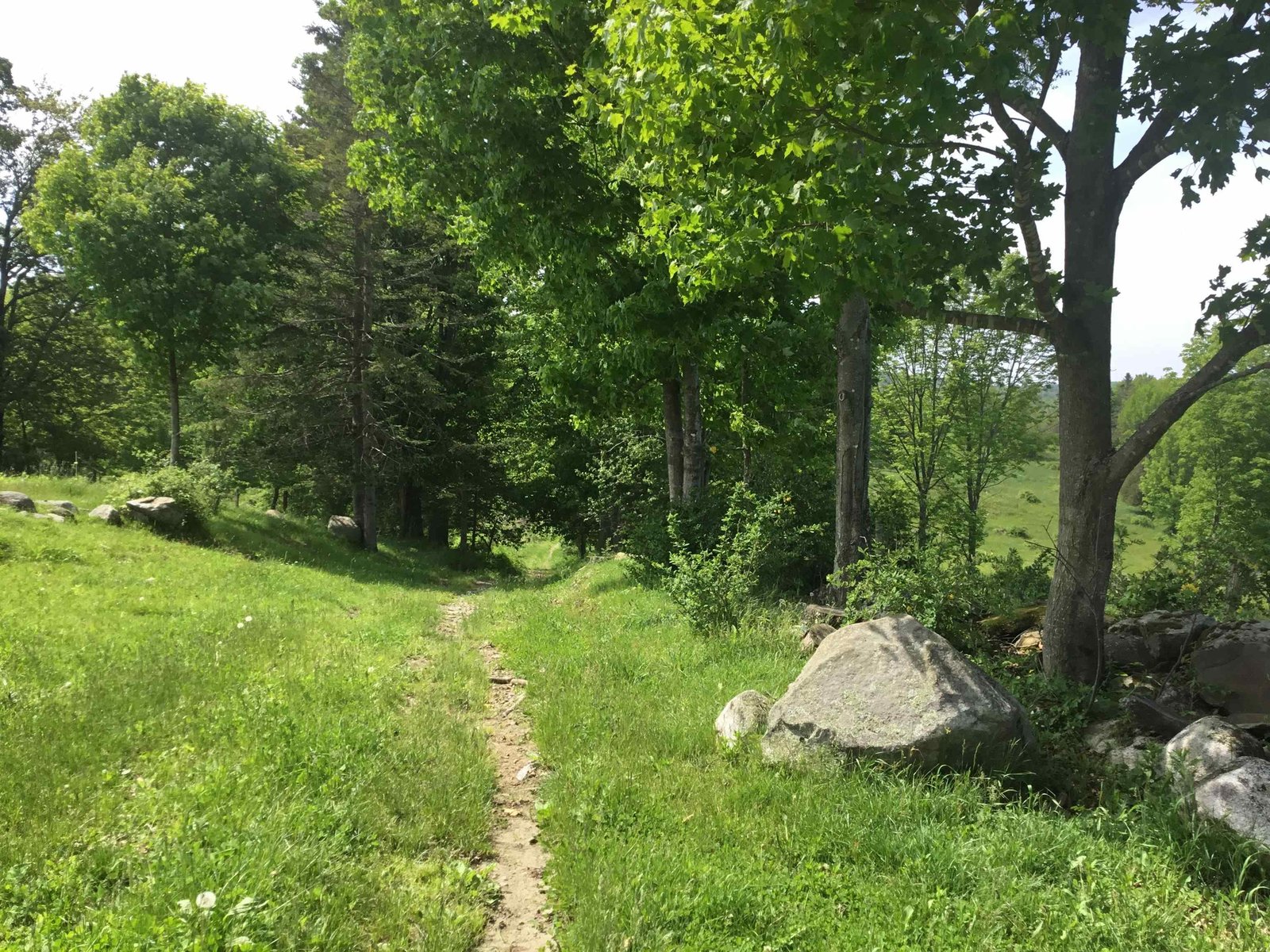 338 Johnson Road