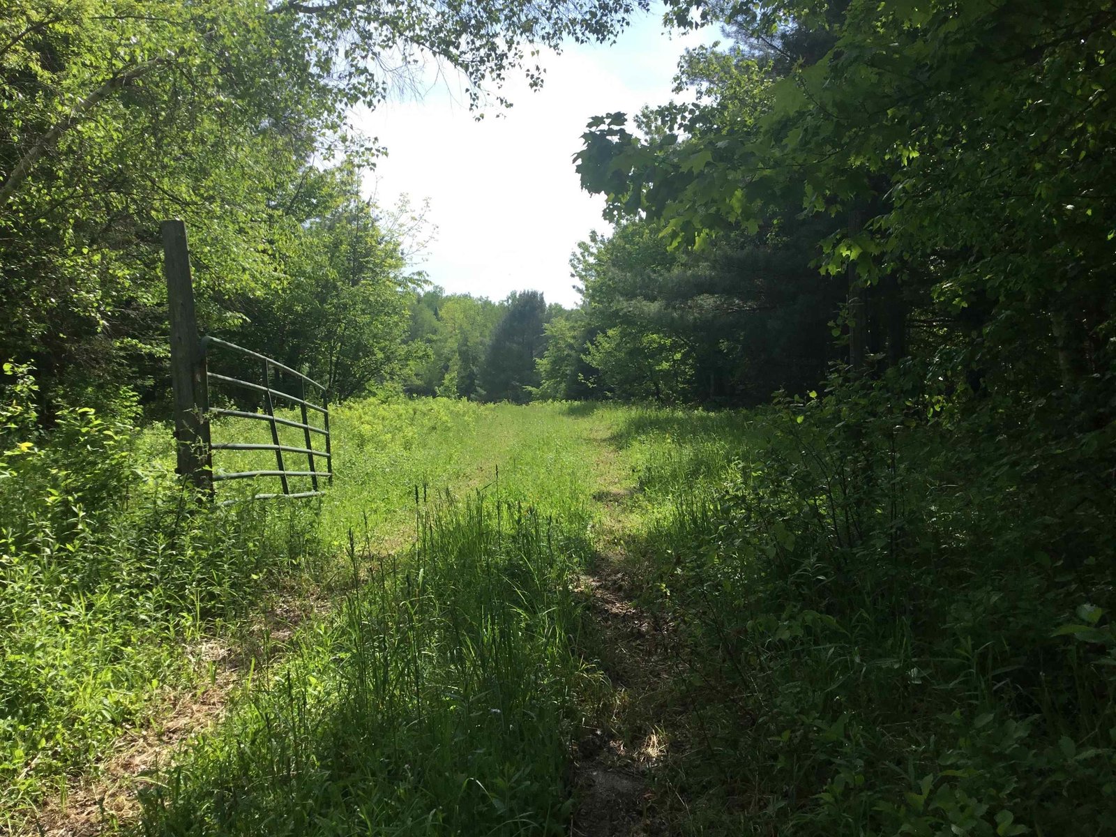 338 Johnson Road