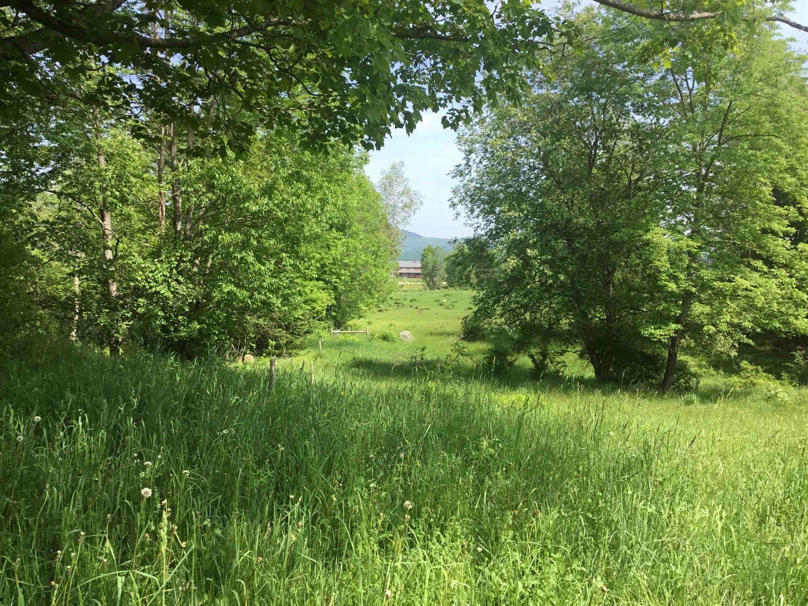 338 Johnson Road