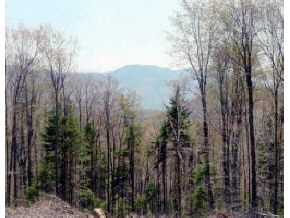 3390 Sterling Valley Ro