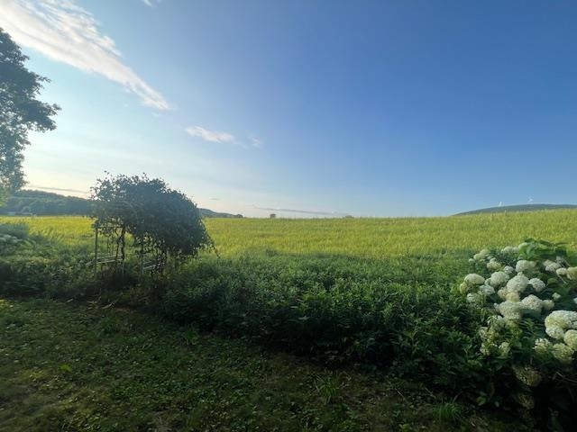 Summer View