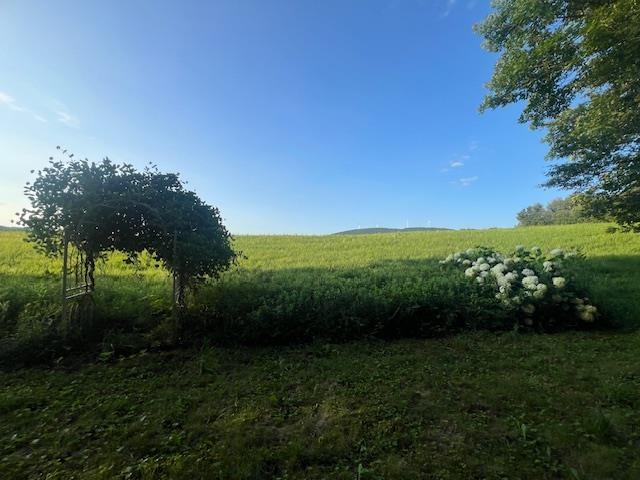 Summer View
