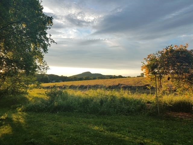 Summer View