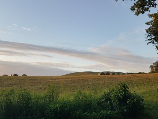 Summer View