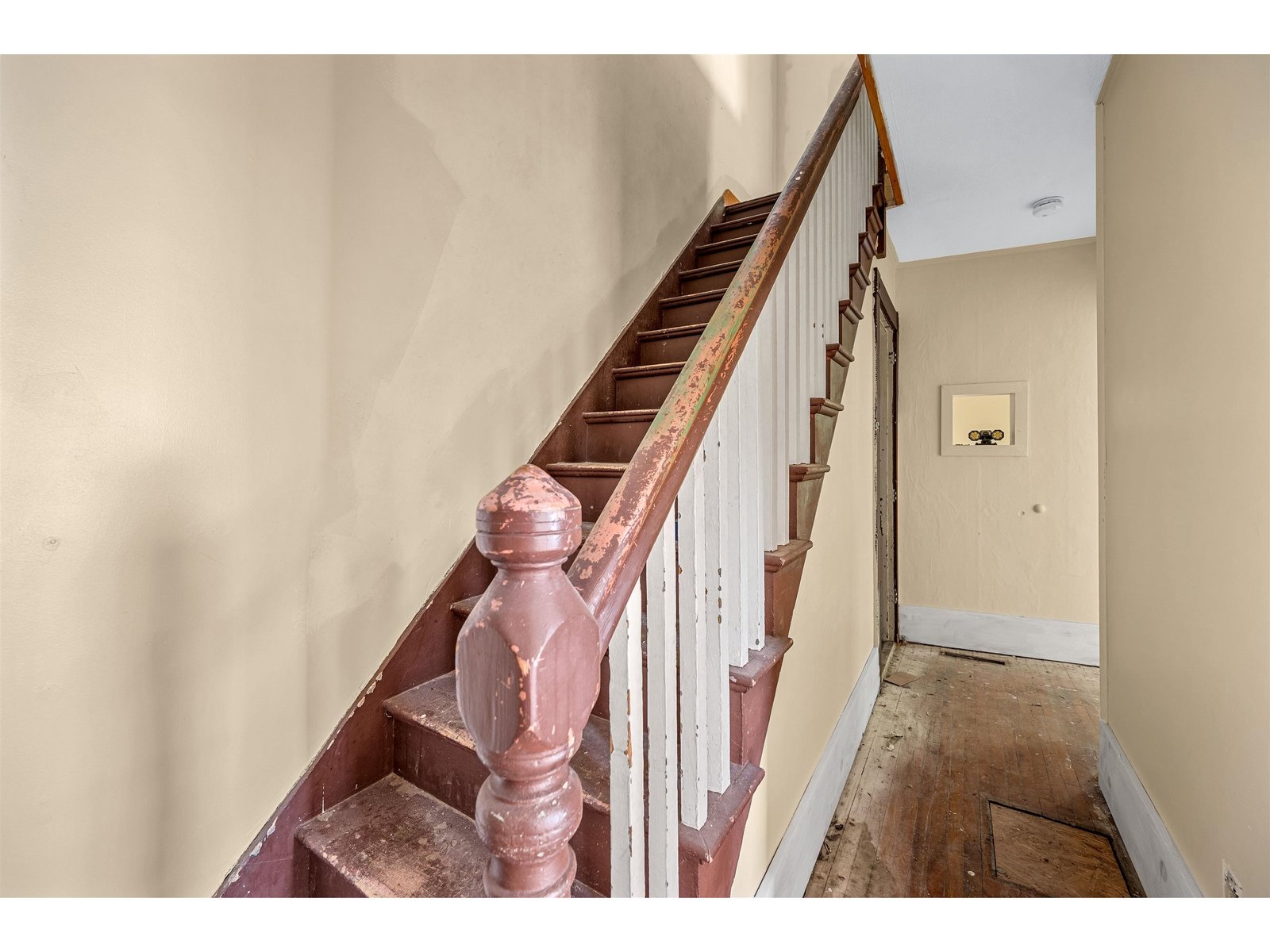 34 Willey Street