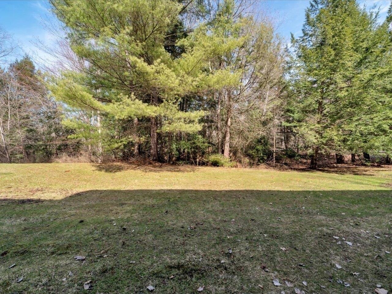 View of the common backyard!