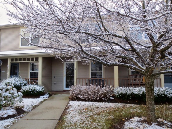 343 Cedar, Unit 343