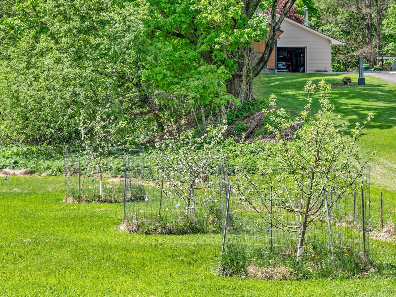 343 Sierra Lavin Road