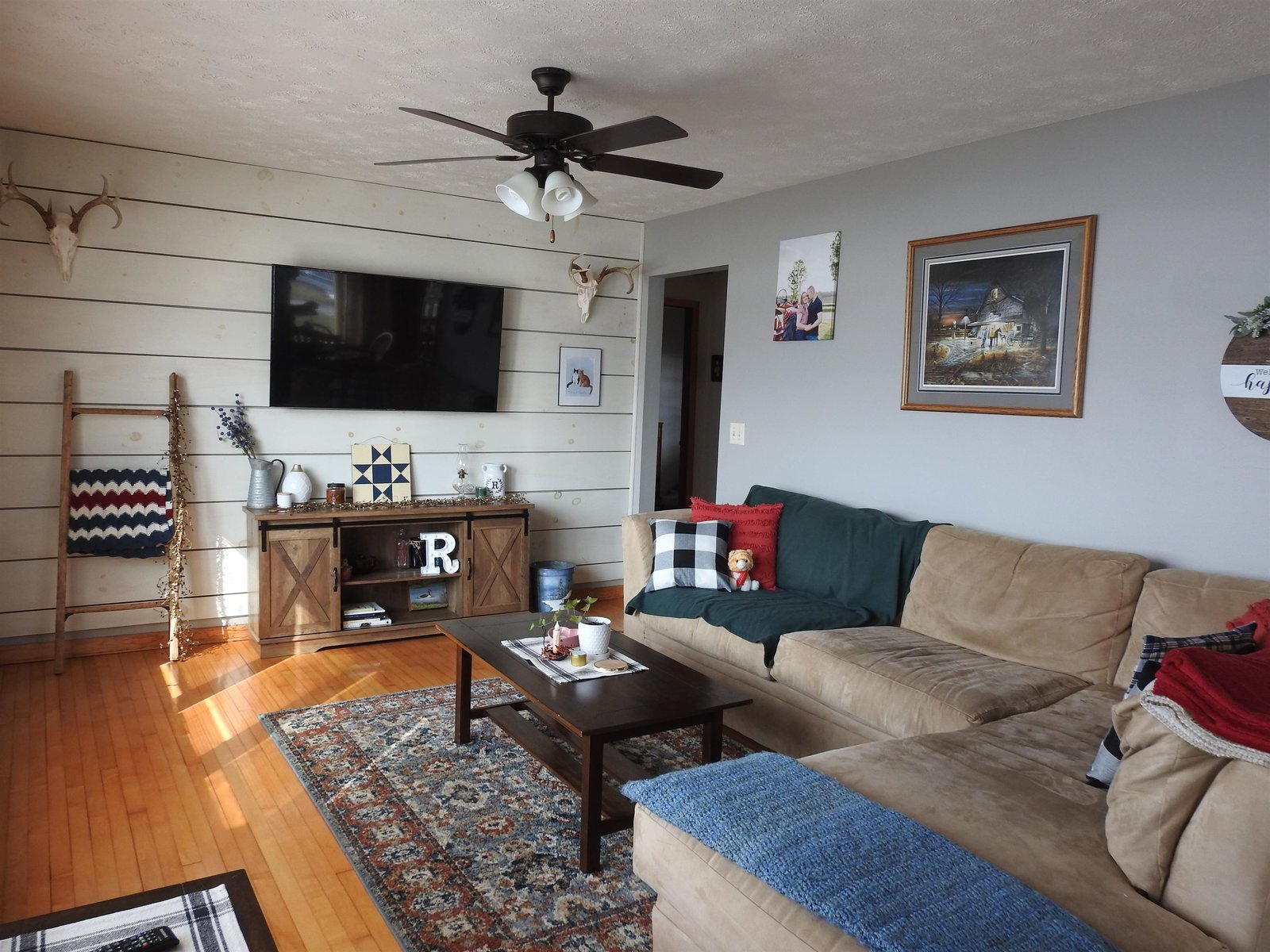 Shiplap wall in living room