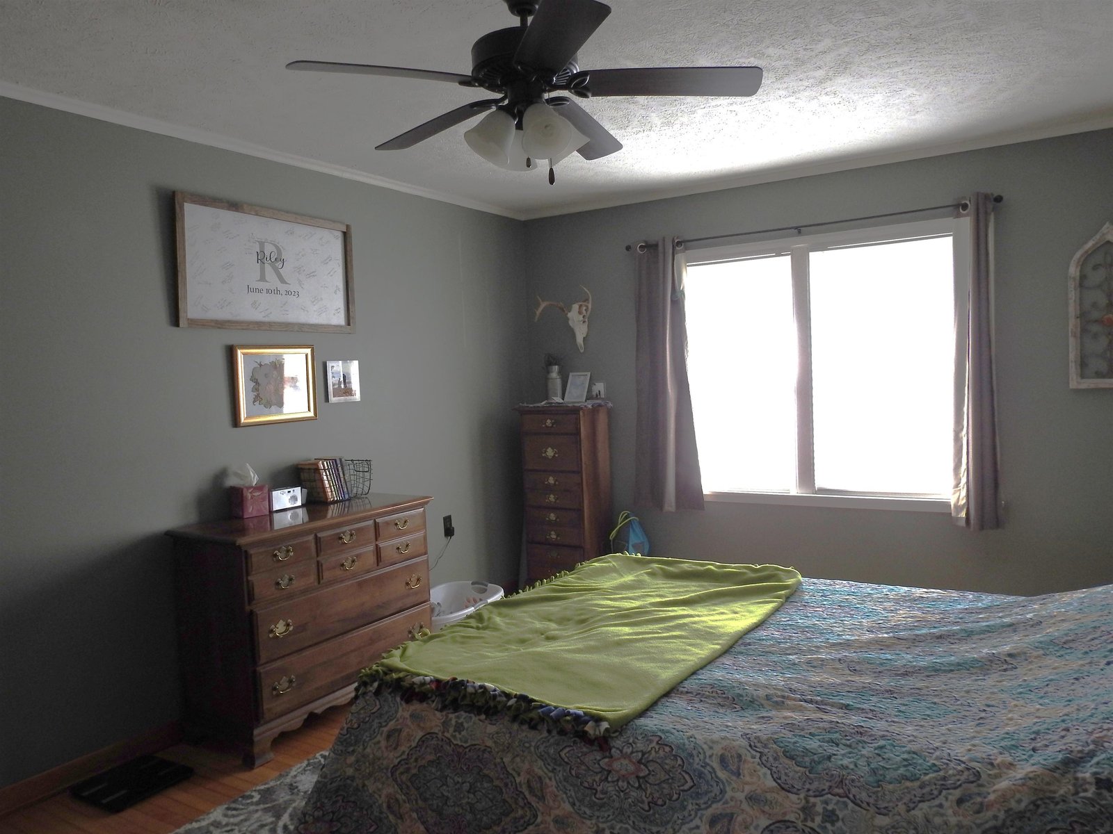 Spacious primary edroom with large window