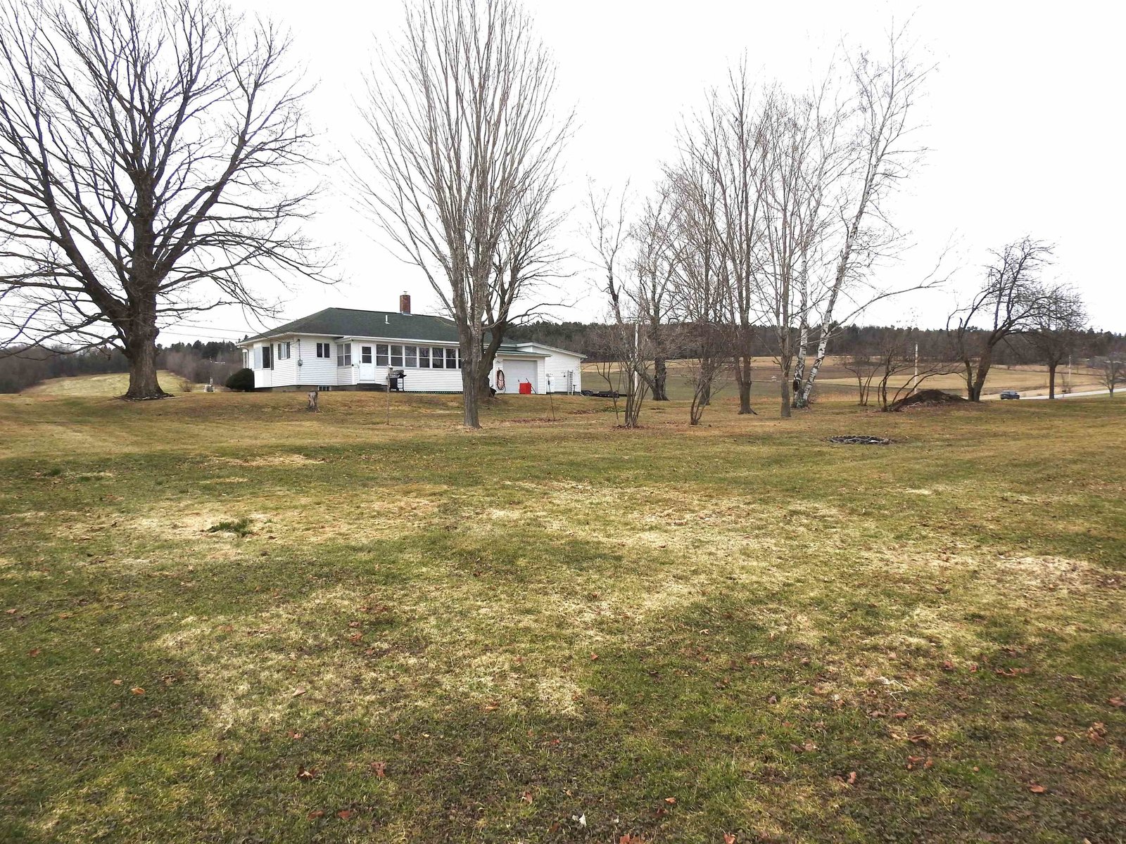 Rear lawn