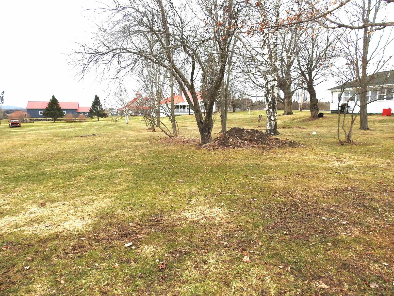Rear Lawn