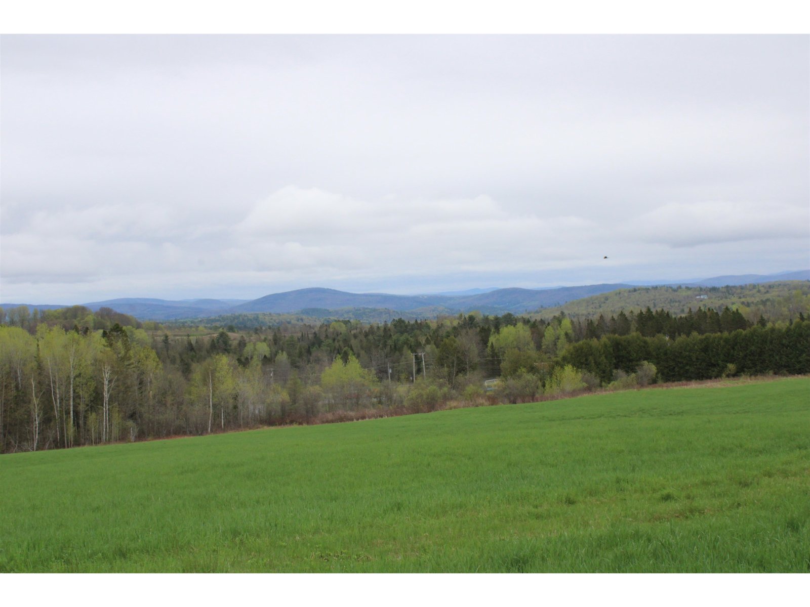 3438 US Route 2
