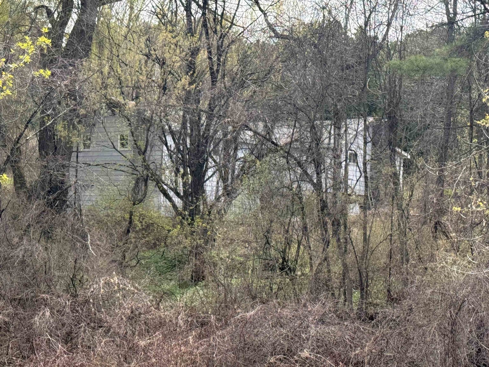 3441 Bristol Road