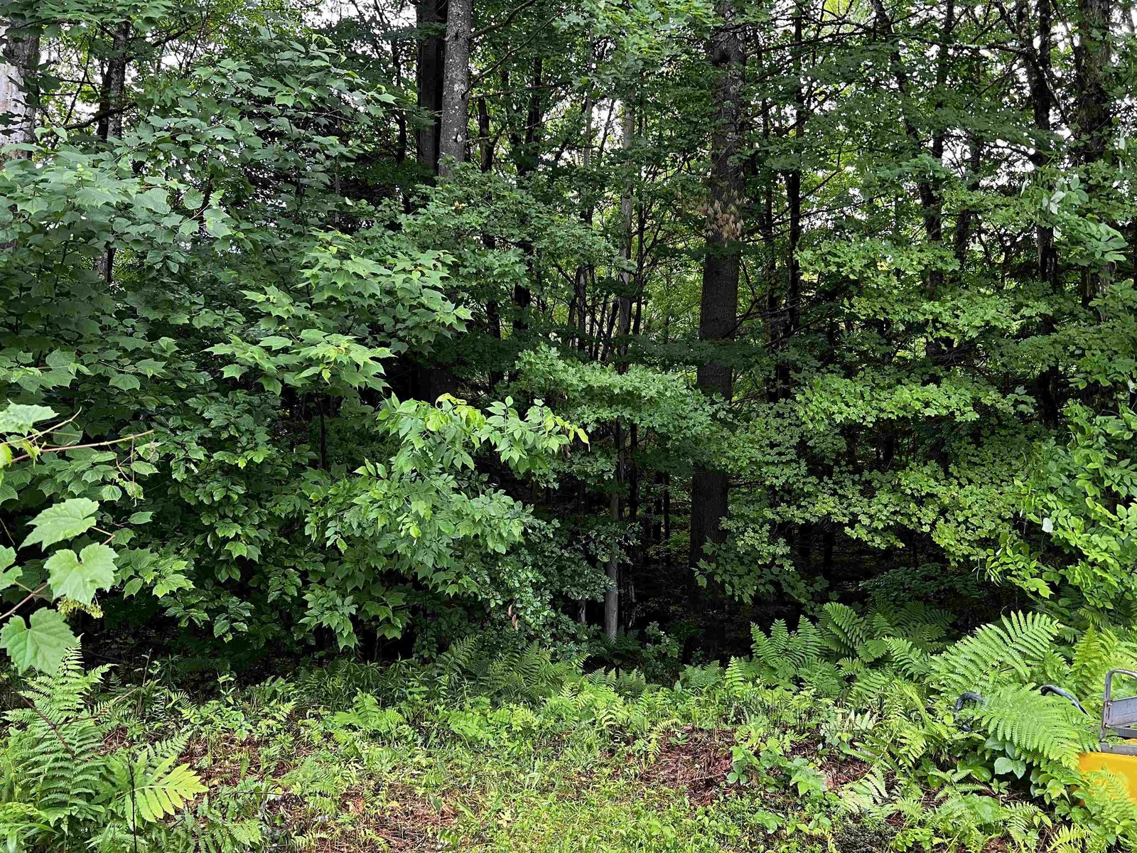 345 Danby/Pawlet Road