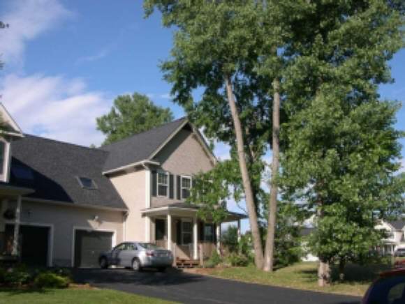 345 Stone Dr