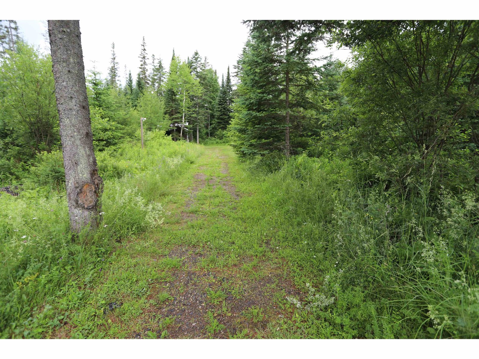 Path To Chicken Coop