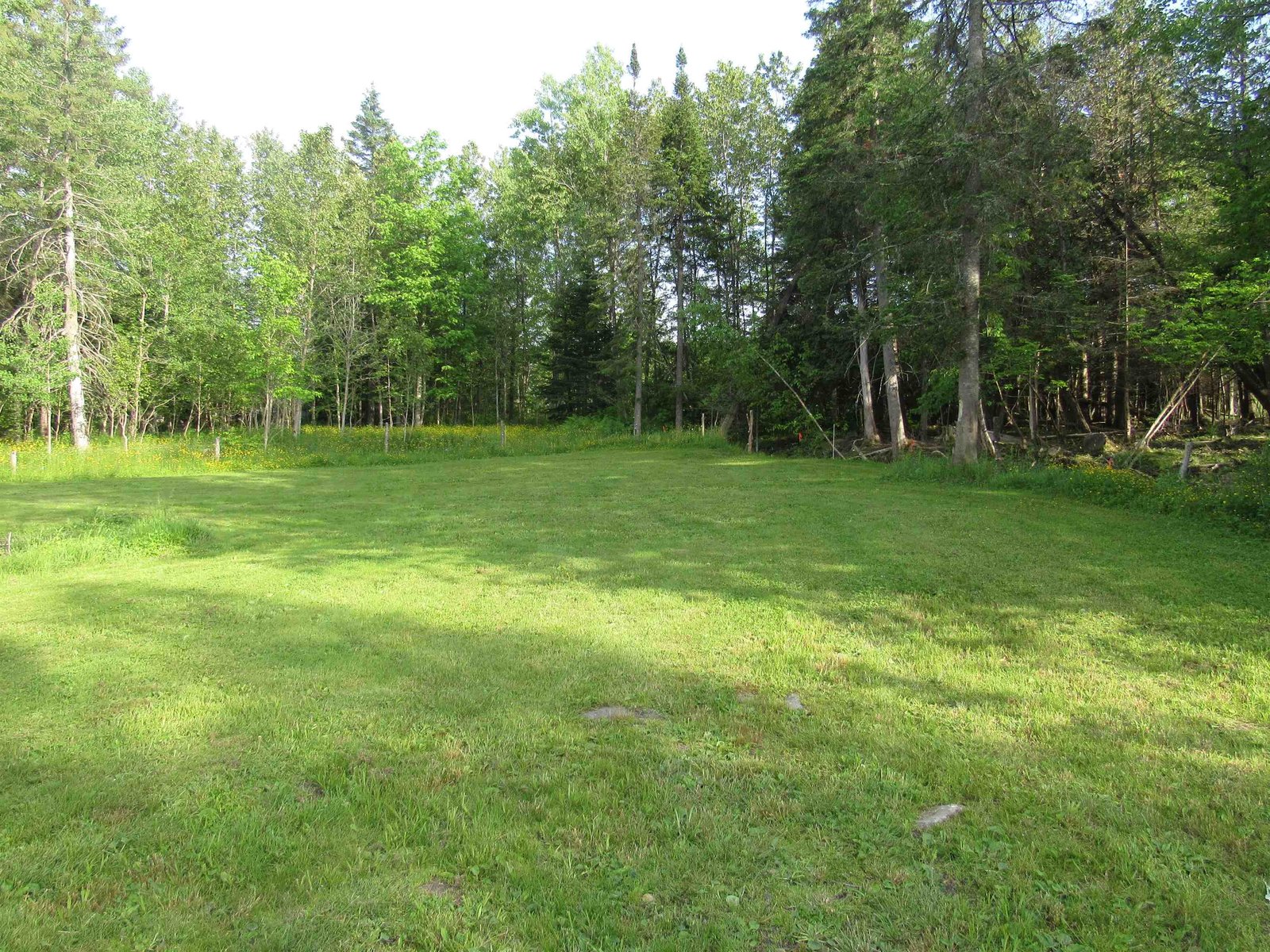3490 Pepin Road