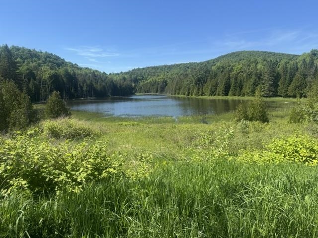 3491 County Road
