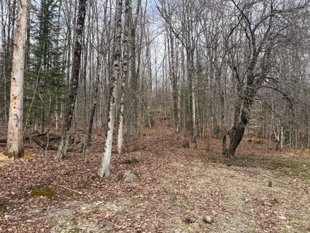 3492 hazens notch Road
