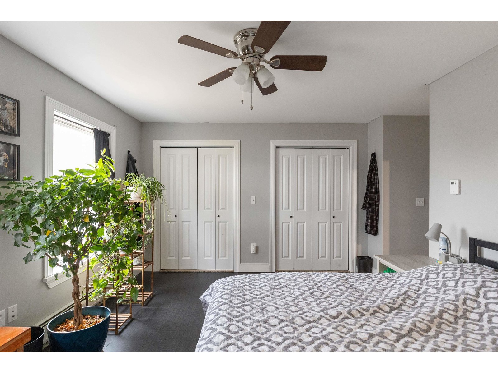 Primary bedroom with south facing windows