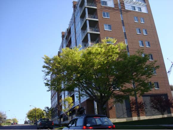 35 Cherry Street, Unit 403