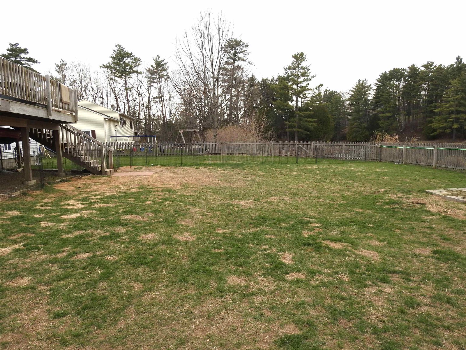 35 Ritchie Avenue