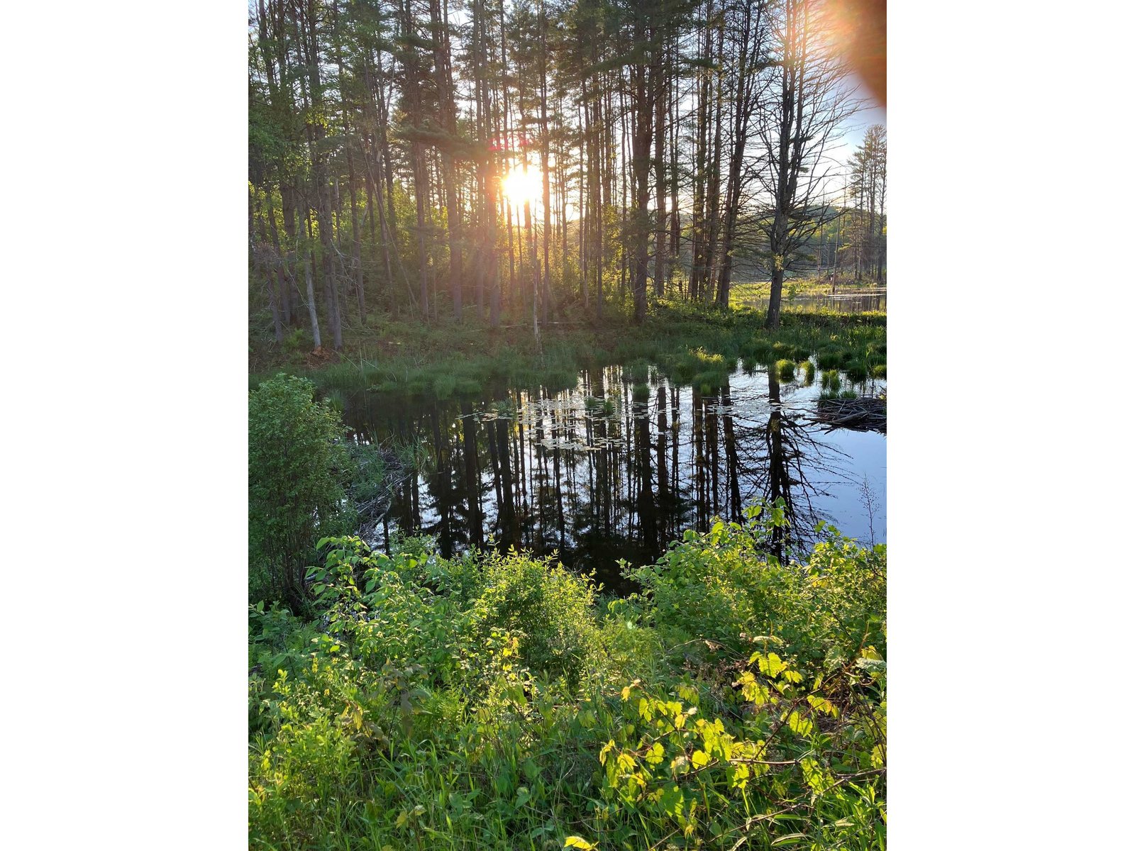 Beaver Pond Farm