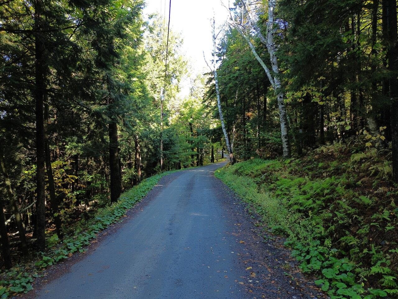 Dead-End Road