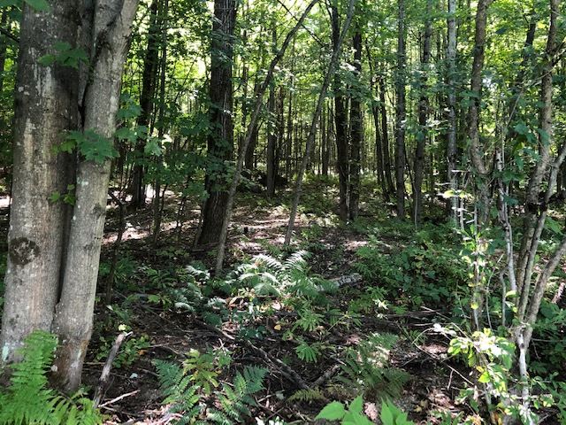 350 Mt. View Road