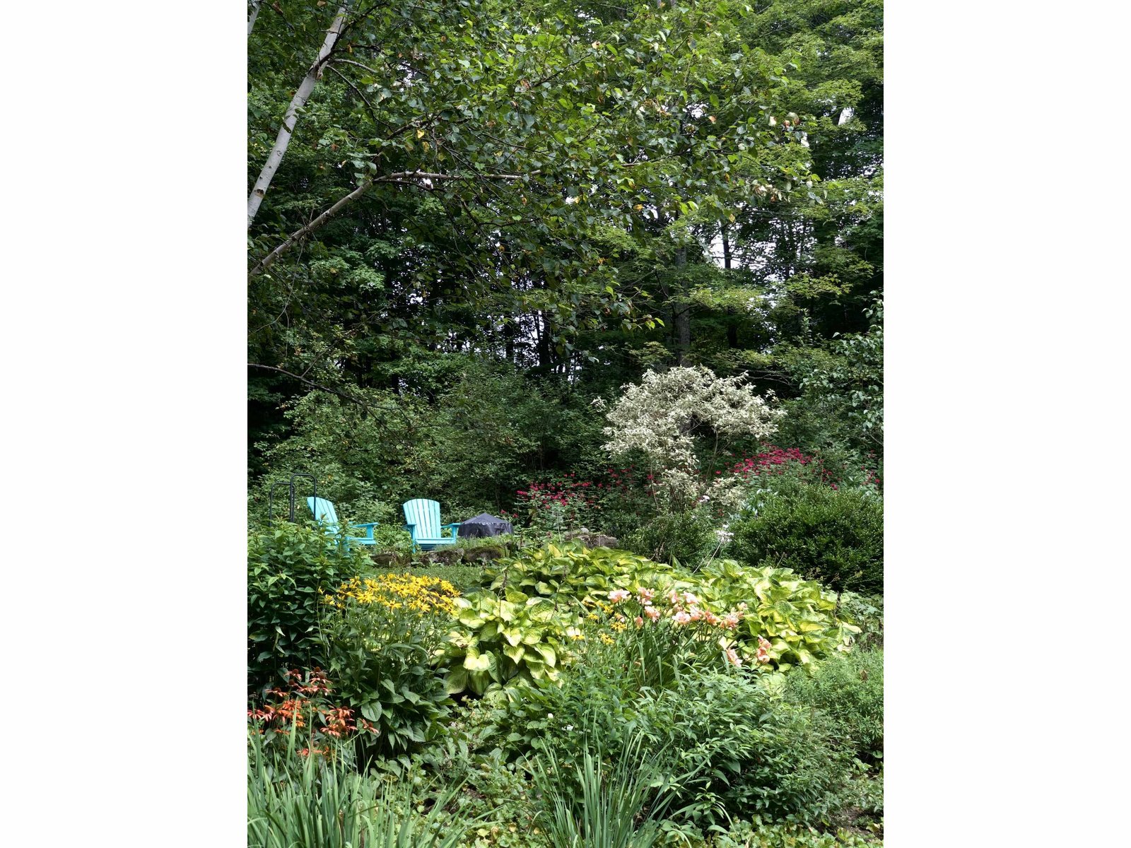 3503 Vermont Route 215 N