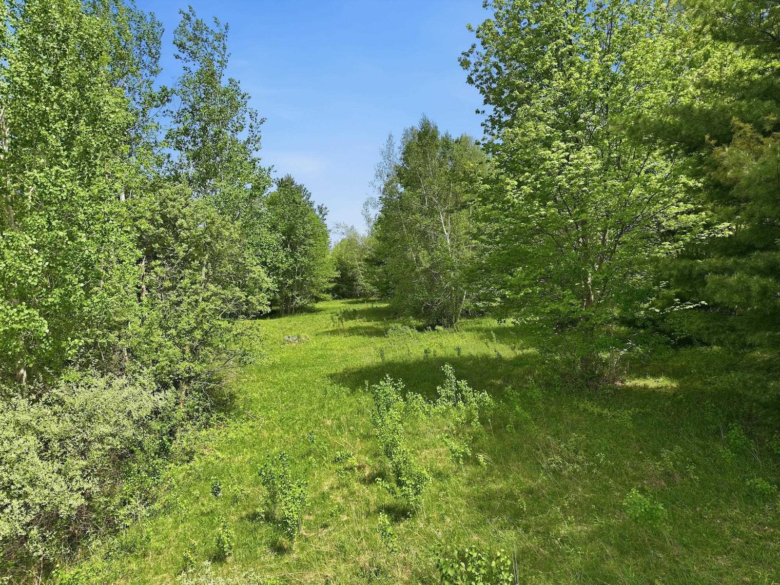 351 Ledgewood Drive