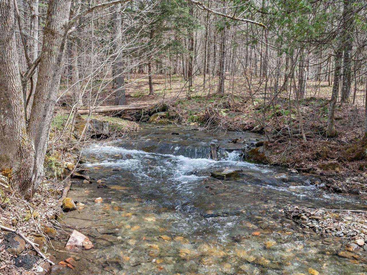 Pekin Brook
