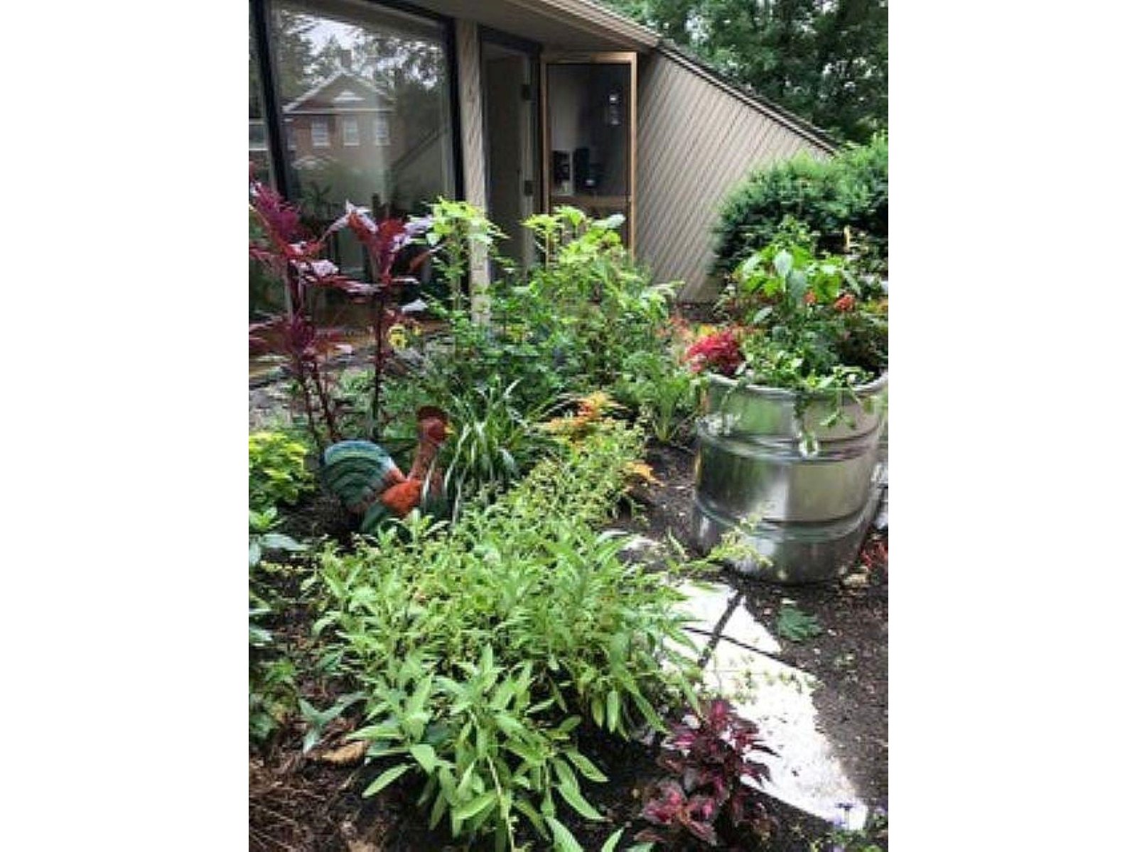 352 Colchester Avenue, Unit 1