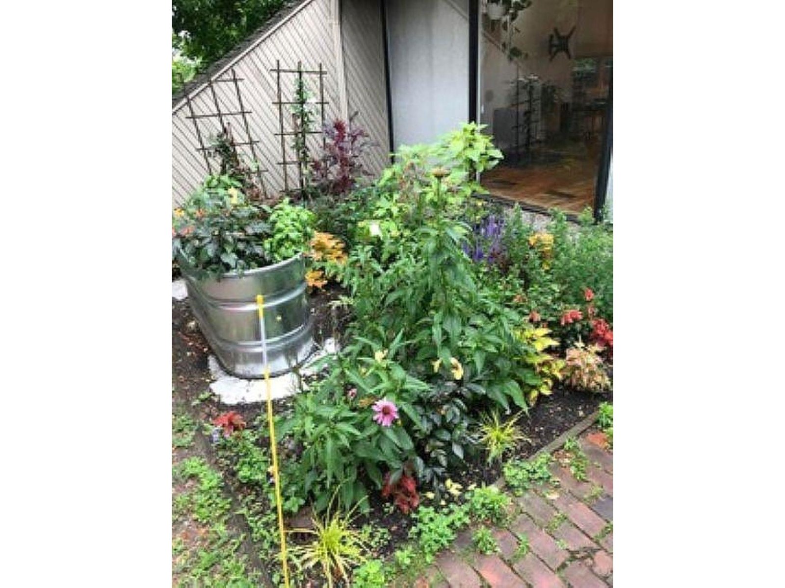 352 Colchester Avenue, Unit 1