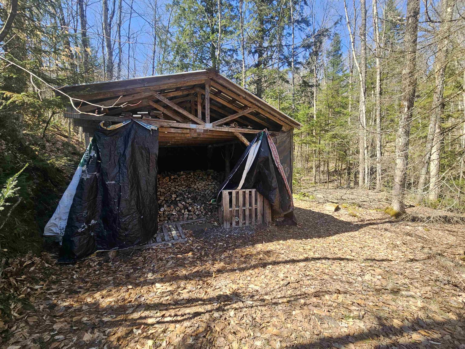 Wood Shed