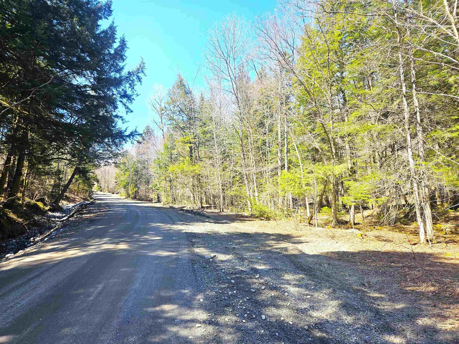 Street Frontage - Country Setting