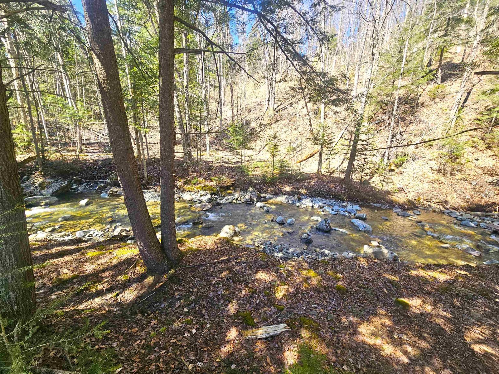 Ware Brook Frontage