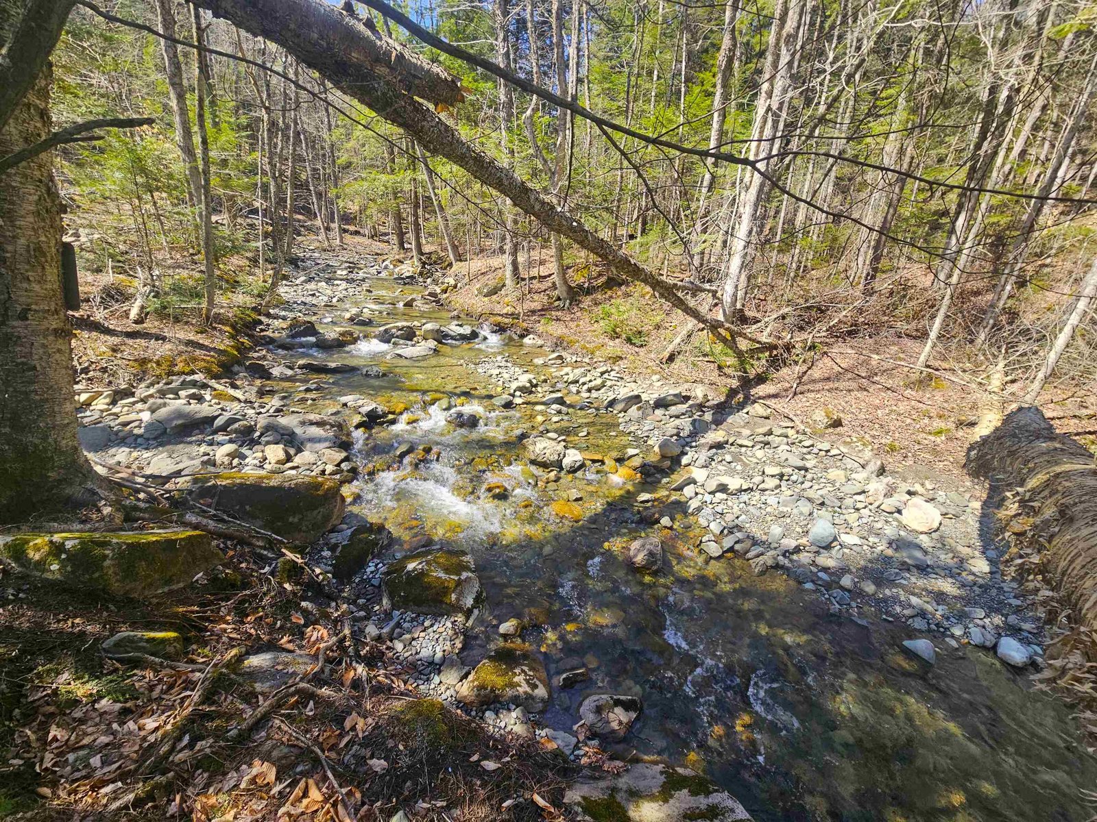 Ware Brook Frontage