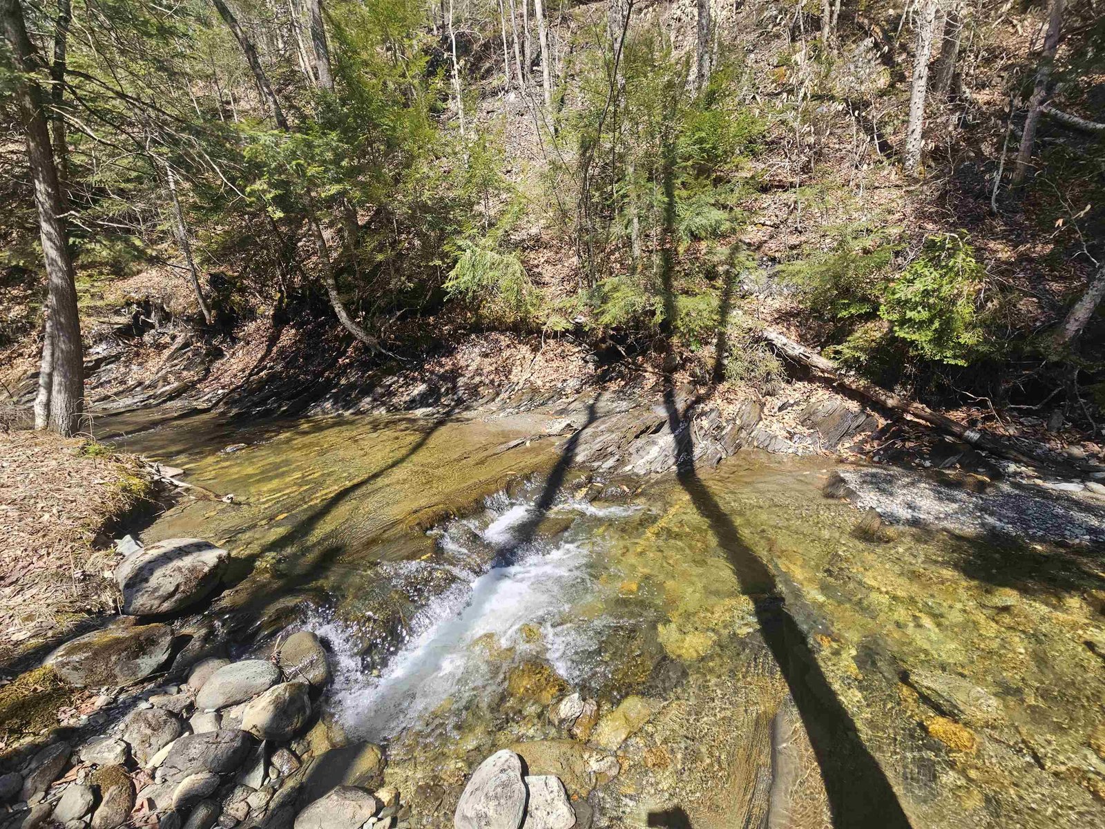 Ware Brook Frontage