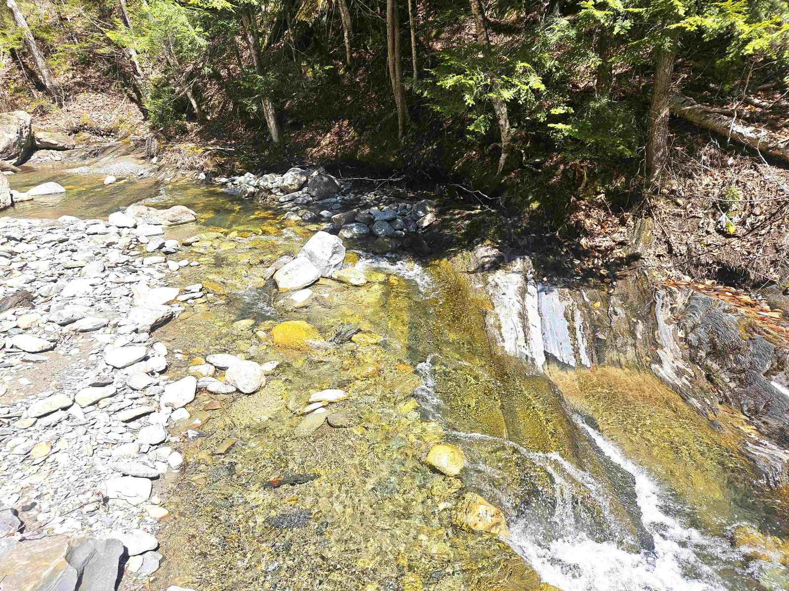 Ware Brook Frontage