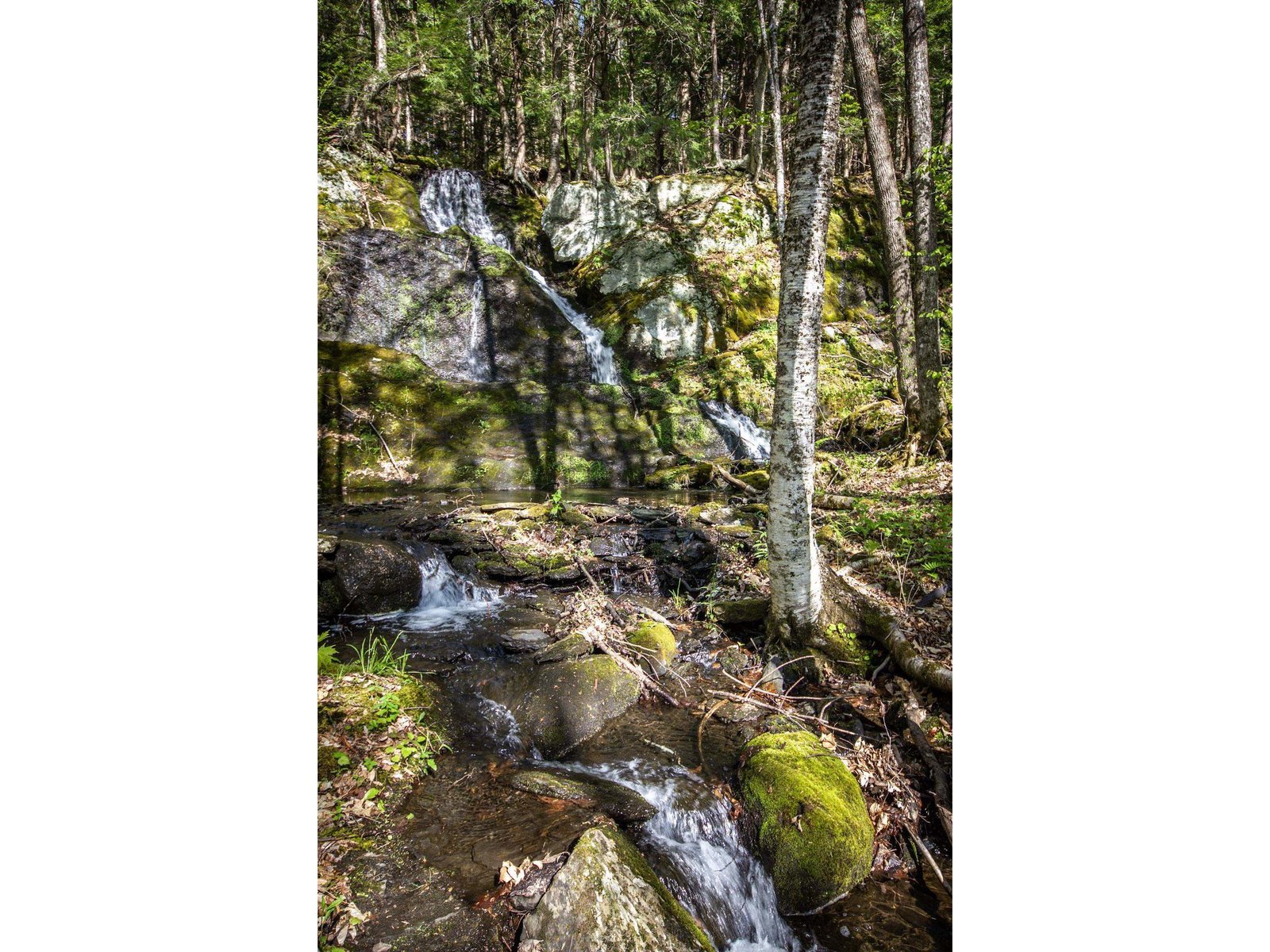 352 Edwins Pond Road