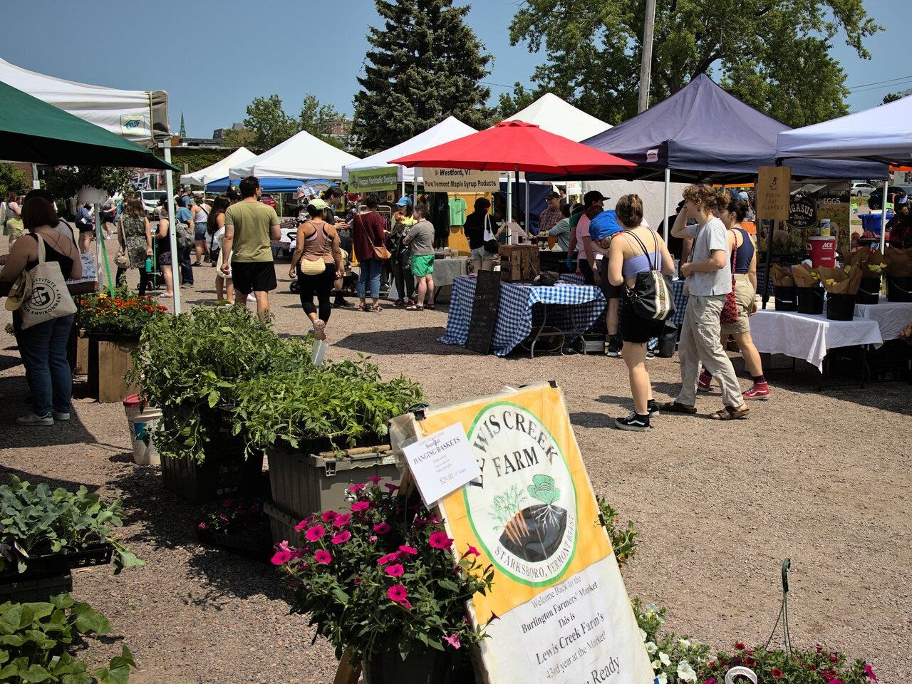 Burlington Farmer's Market