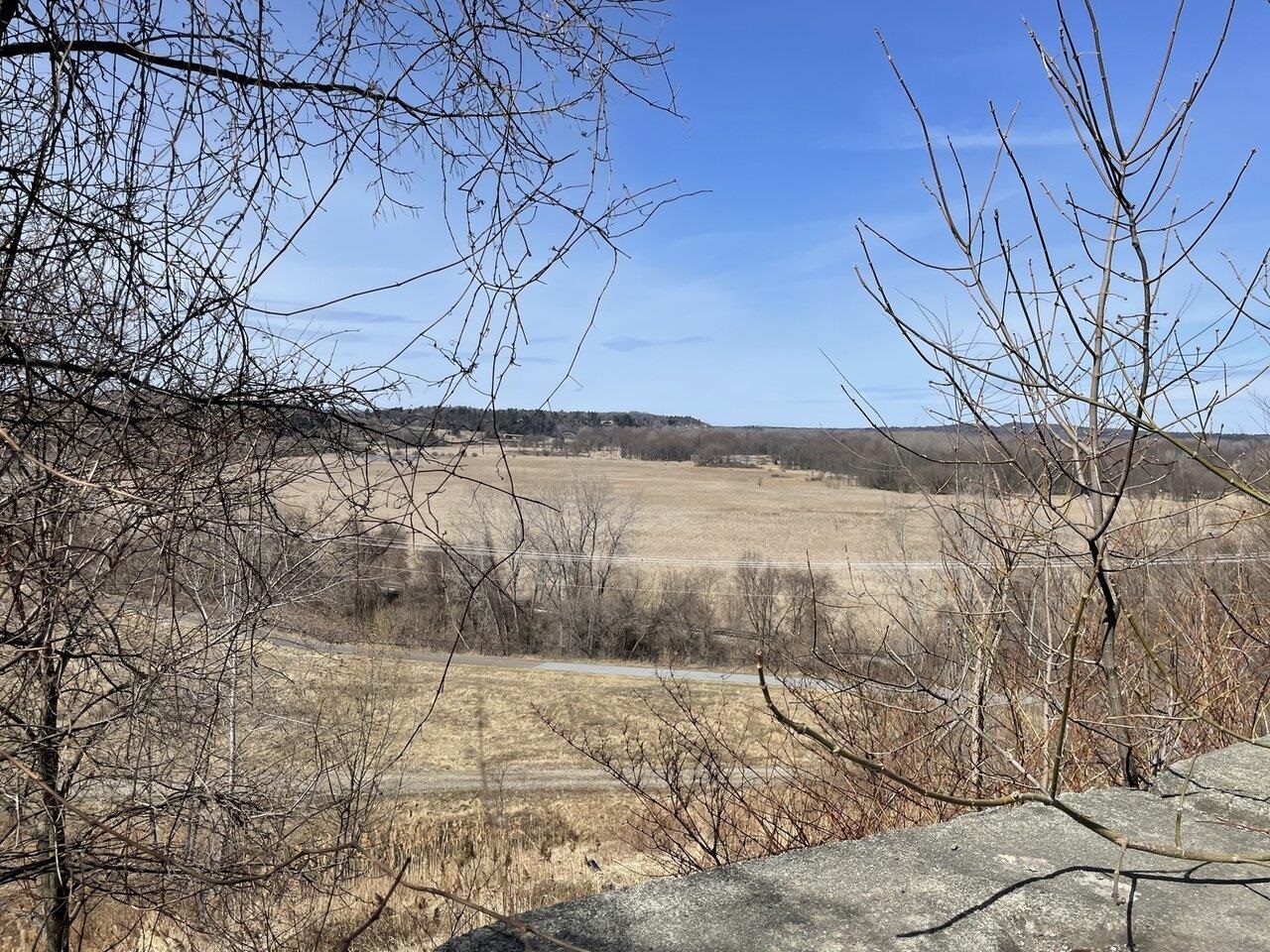 Backyard view