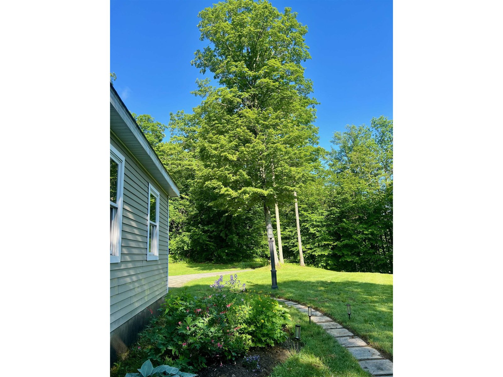 358 Cowdrey Path